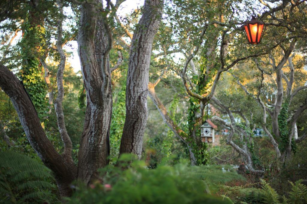 Old Monterey Inn Buitenkant foto